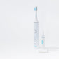 Brilly Whitening System